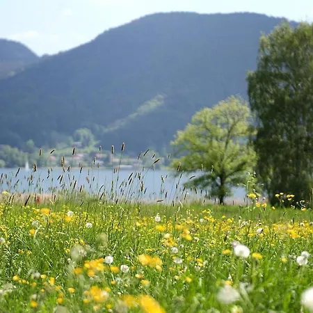 Haus Concordia In Bad Wiessee Am Tegernsee Daire Bad Wiessee